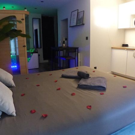Appartement Balneotherapie Et Sauna Hyper Centre Nantes Eksteriør bilde